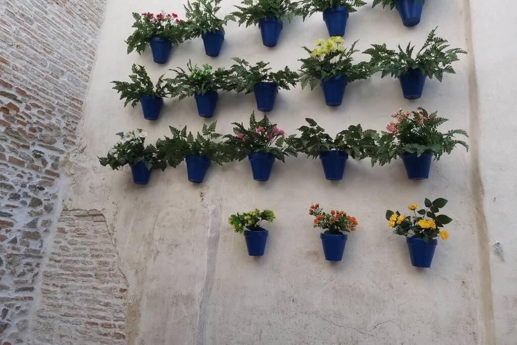 Tgh/ Vital Aza Malaga Centro Zewnętrze zdjęcie